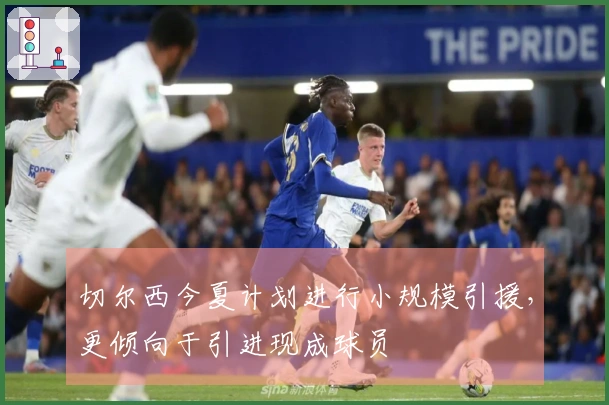 切尔西今夏计划进行小规模引援，更倾向于引进现成球员